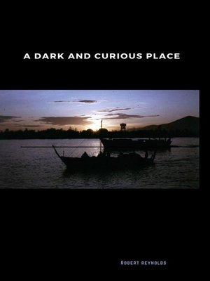 cover image of A Dark and Curious Place